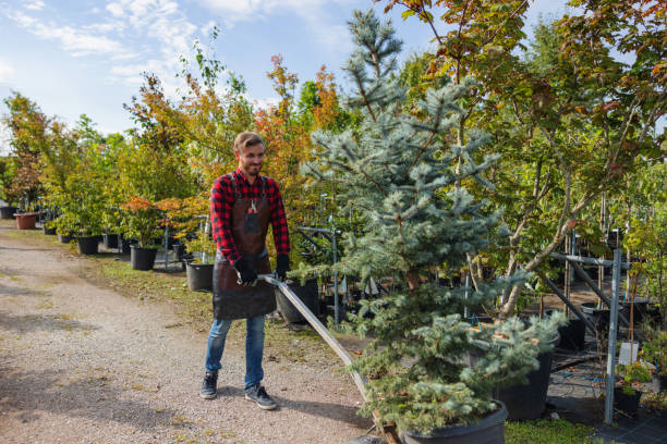 Best Fruit Tree Pruning  in Berea, OH