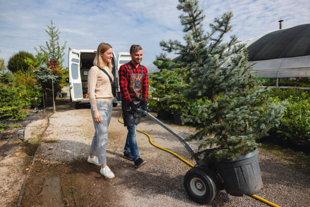 Best Tree Mulching  in Berea, OH